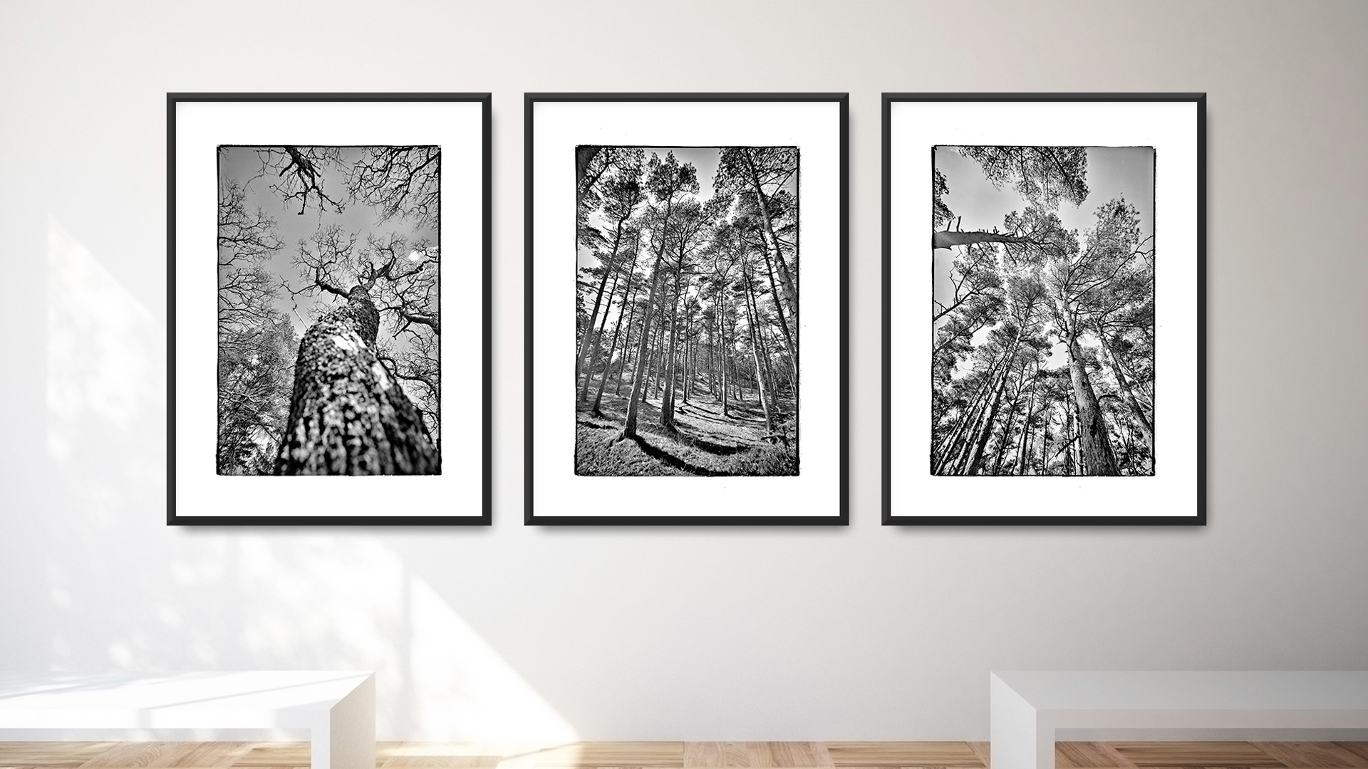 direktdruckowl sw-Galerie Triptychon