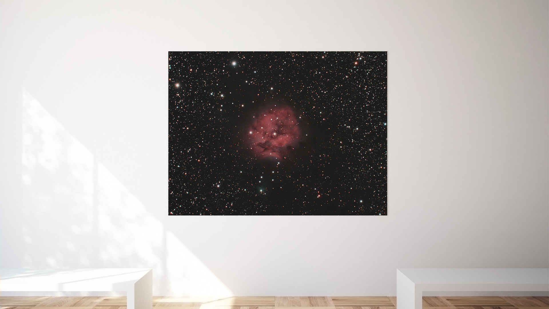 Cocoon Nebula