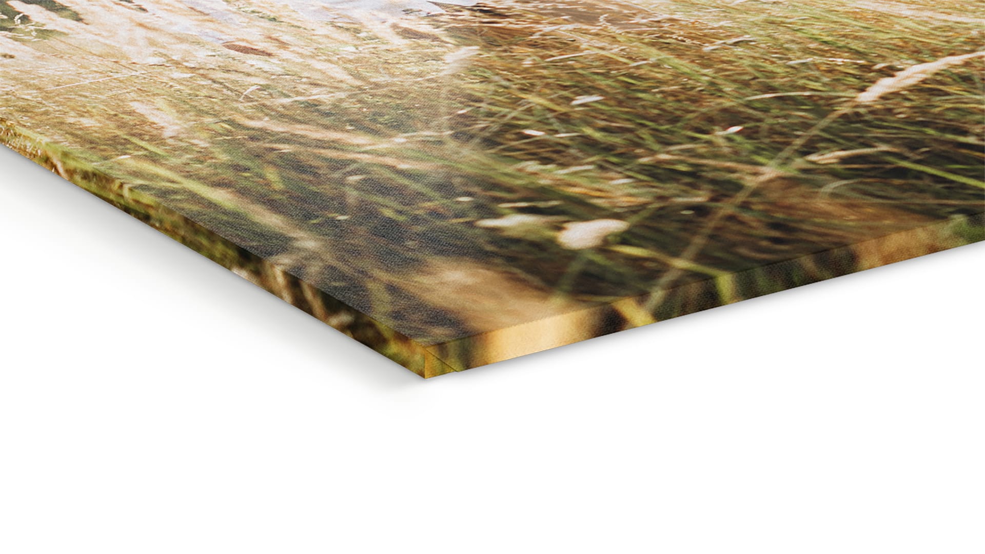 Materialdetail eines im UV-Druck produzierten und auf Keilrahmen gezogenen Motivs, liegend, 20 mm starker Holzrahmen