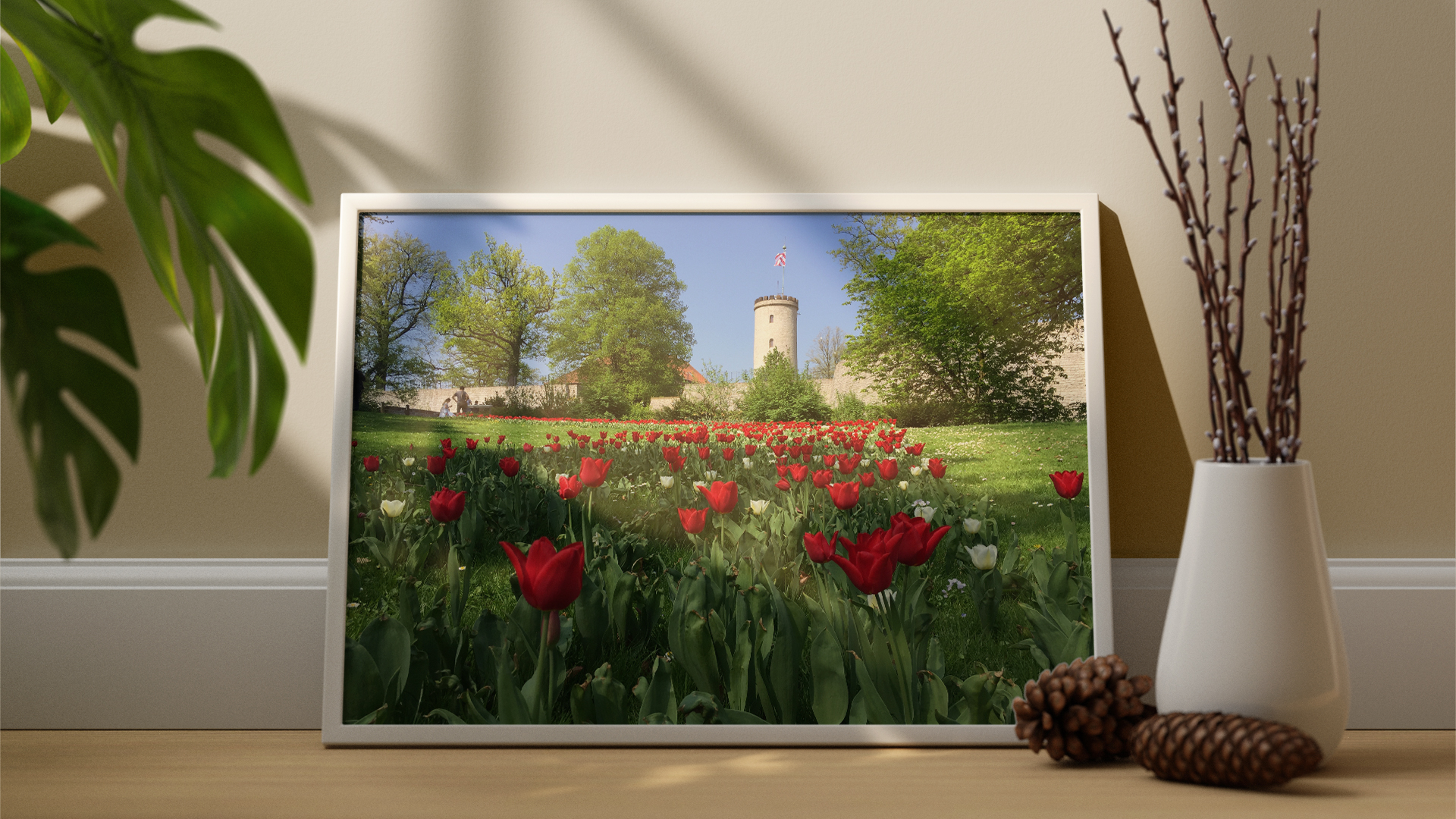 Sparrenburgfrühling
