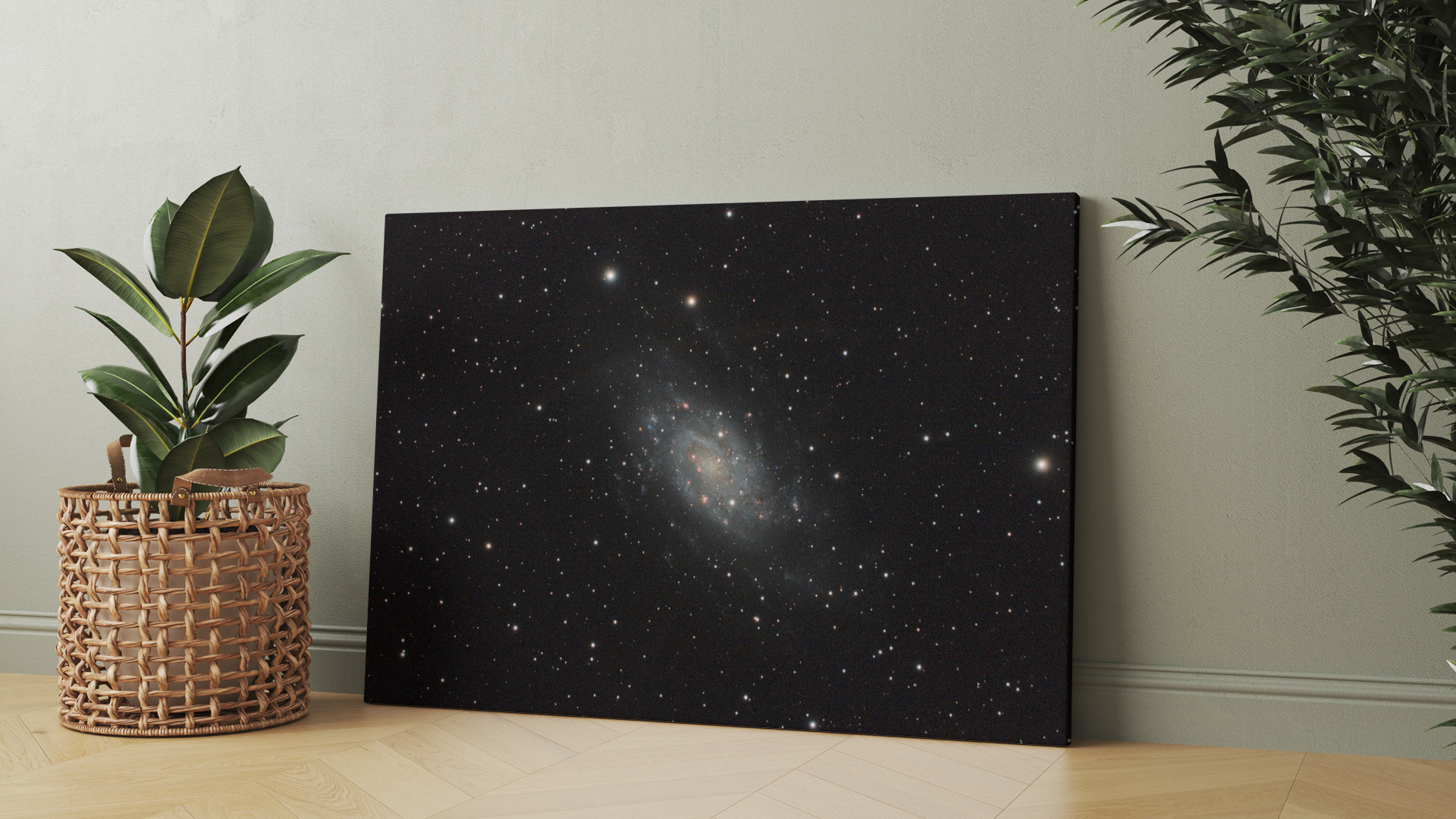 NGC 2403