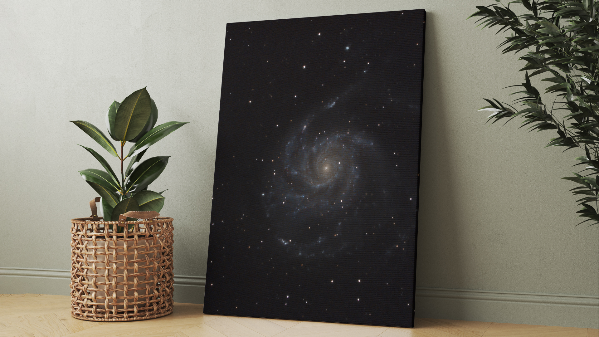 Pinwheel Galaxy