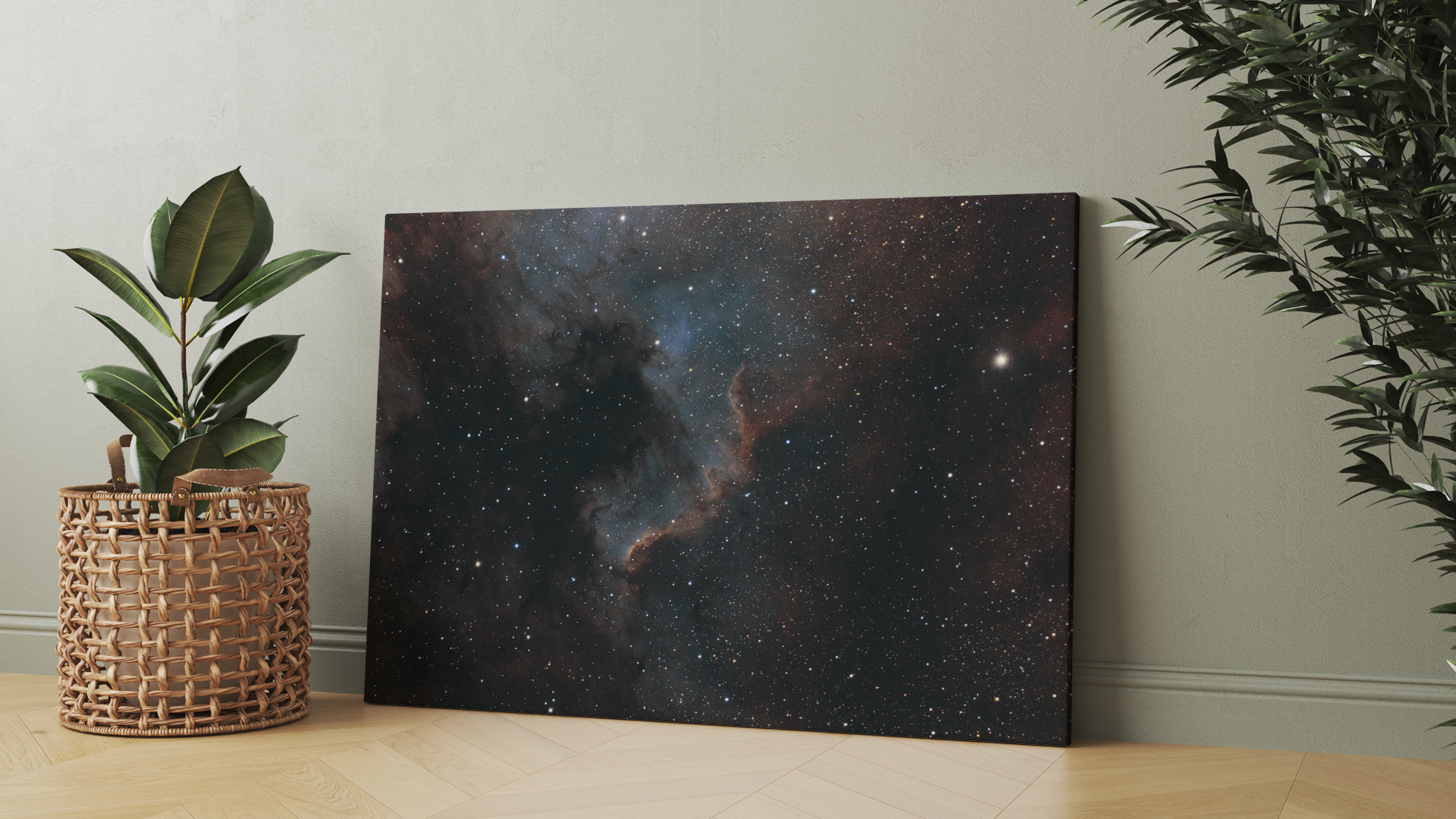 Cygnus Wall