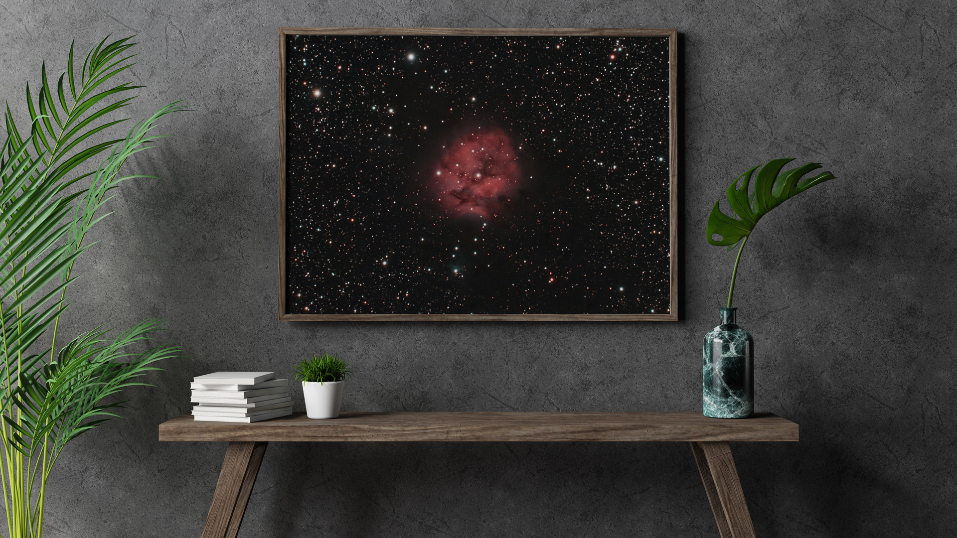 Cocoon Nebula