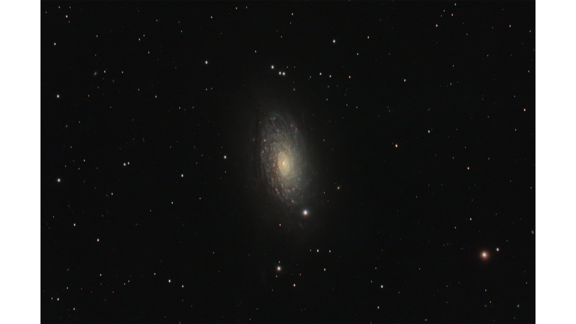 The Sunflower Galaxy