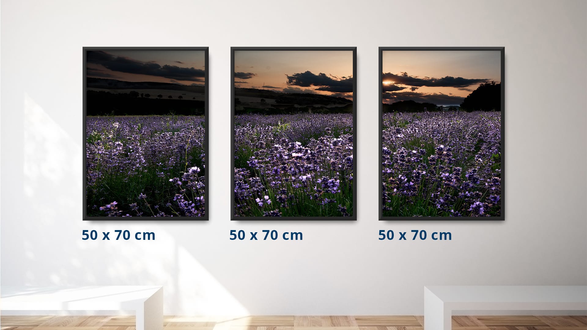 direktdruckowl Foto-Galerie Triptychon