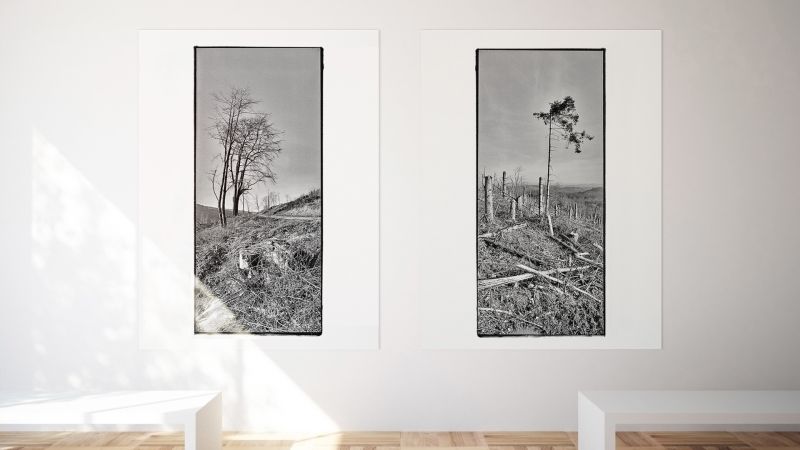 direktdruckowl sw-Galerie Diptychon