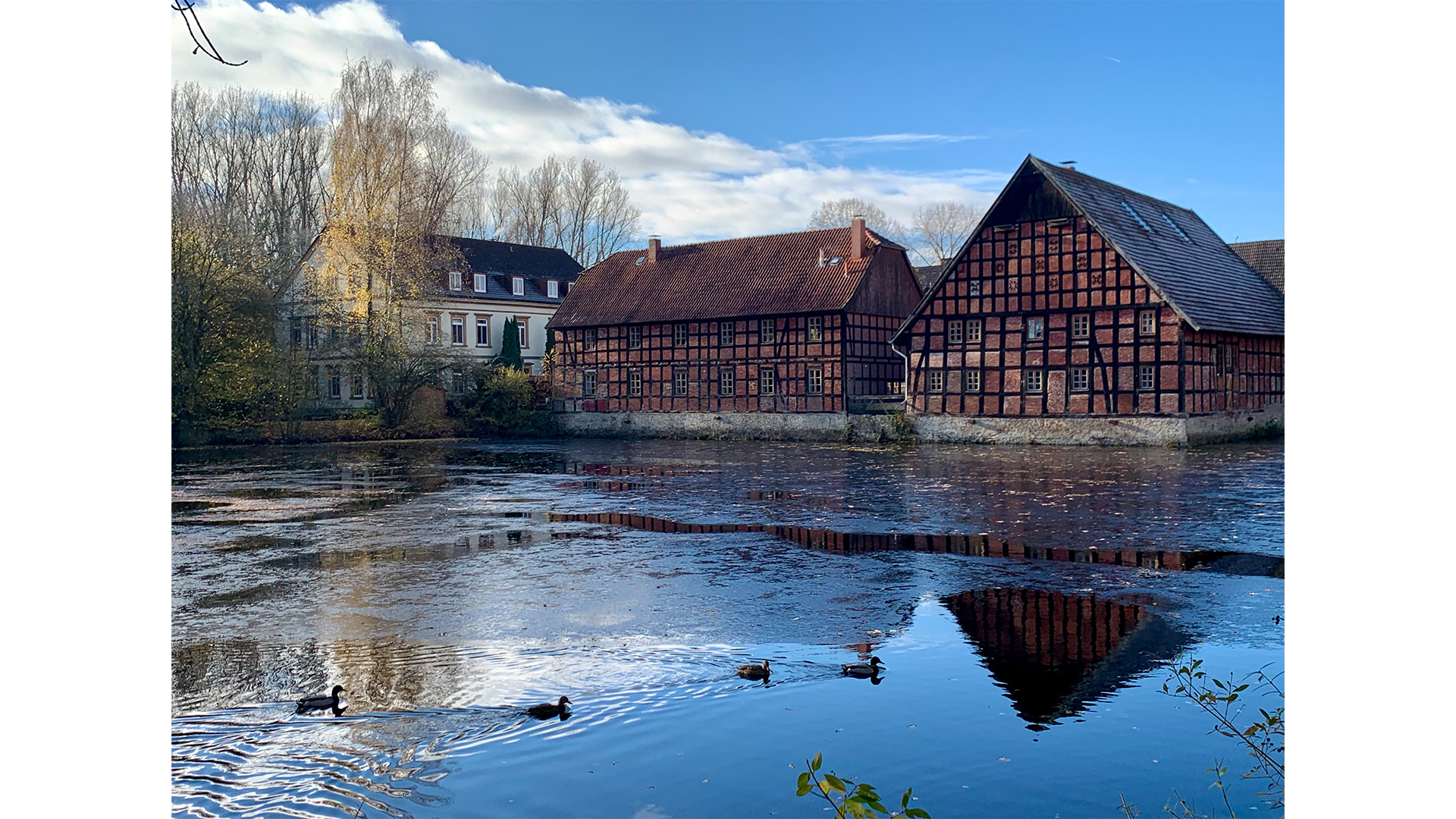 Kleiner Teich am Leithenhof