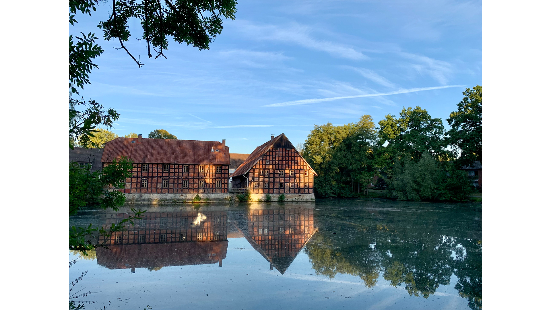 Kleiner Teich am Leithenhof