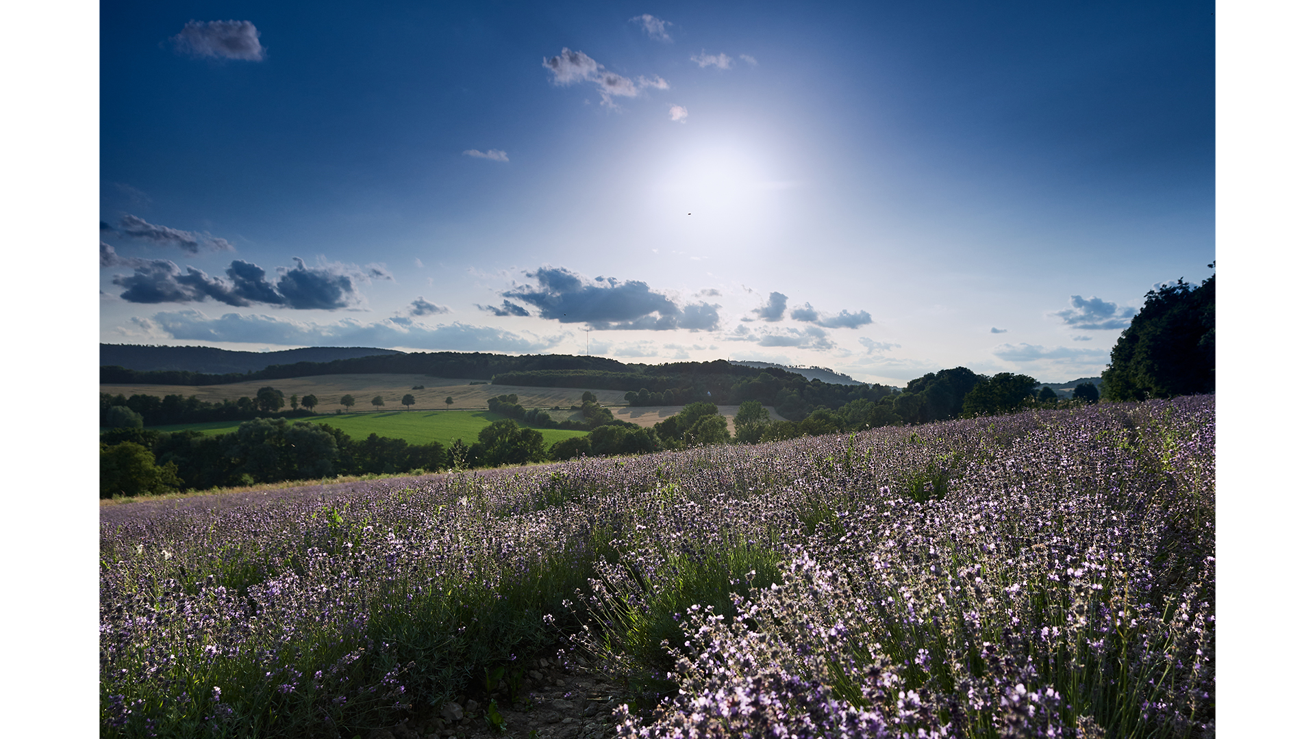 Lippische Provence