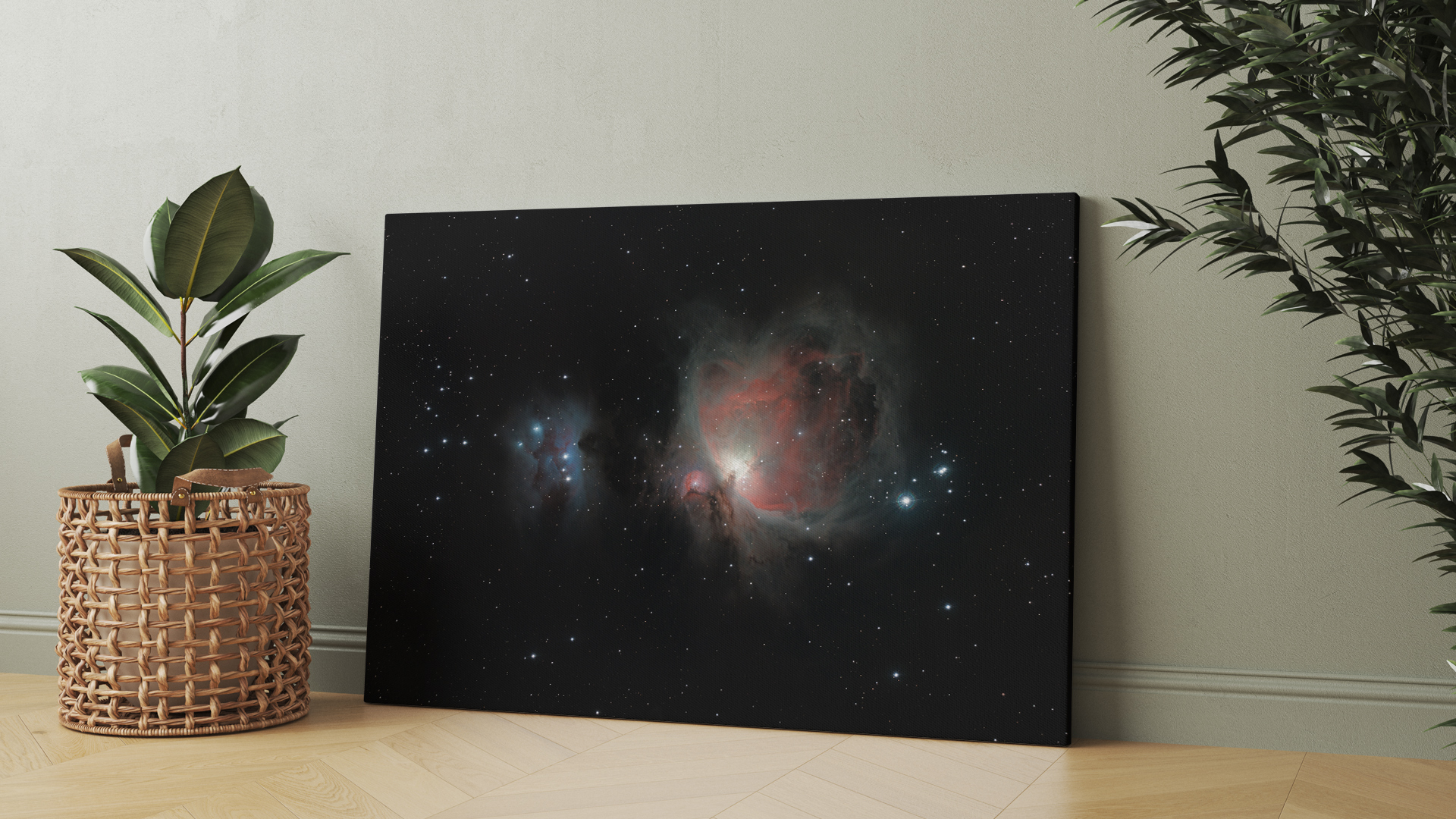 Orion Nebula