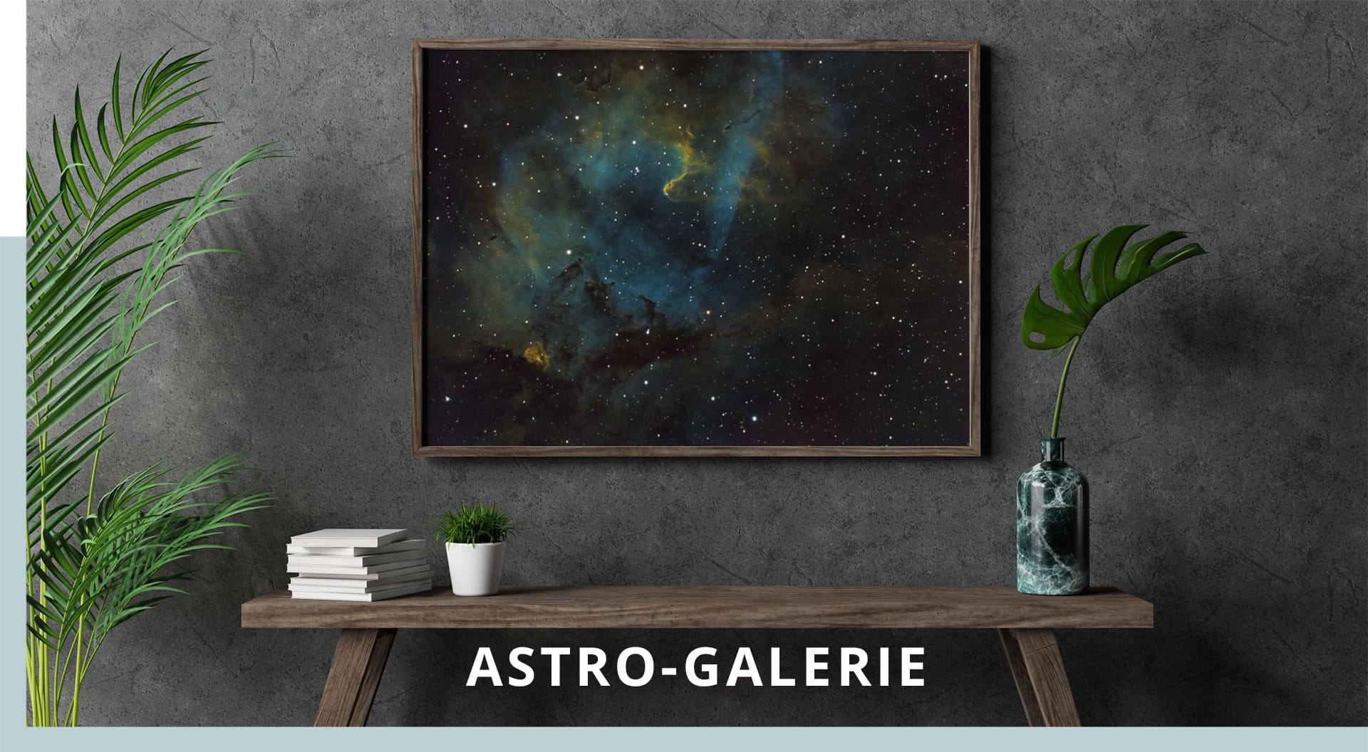 direktdruckowl Astro-Galerie