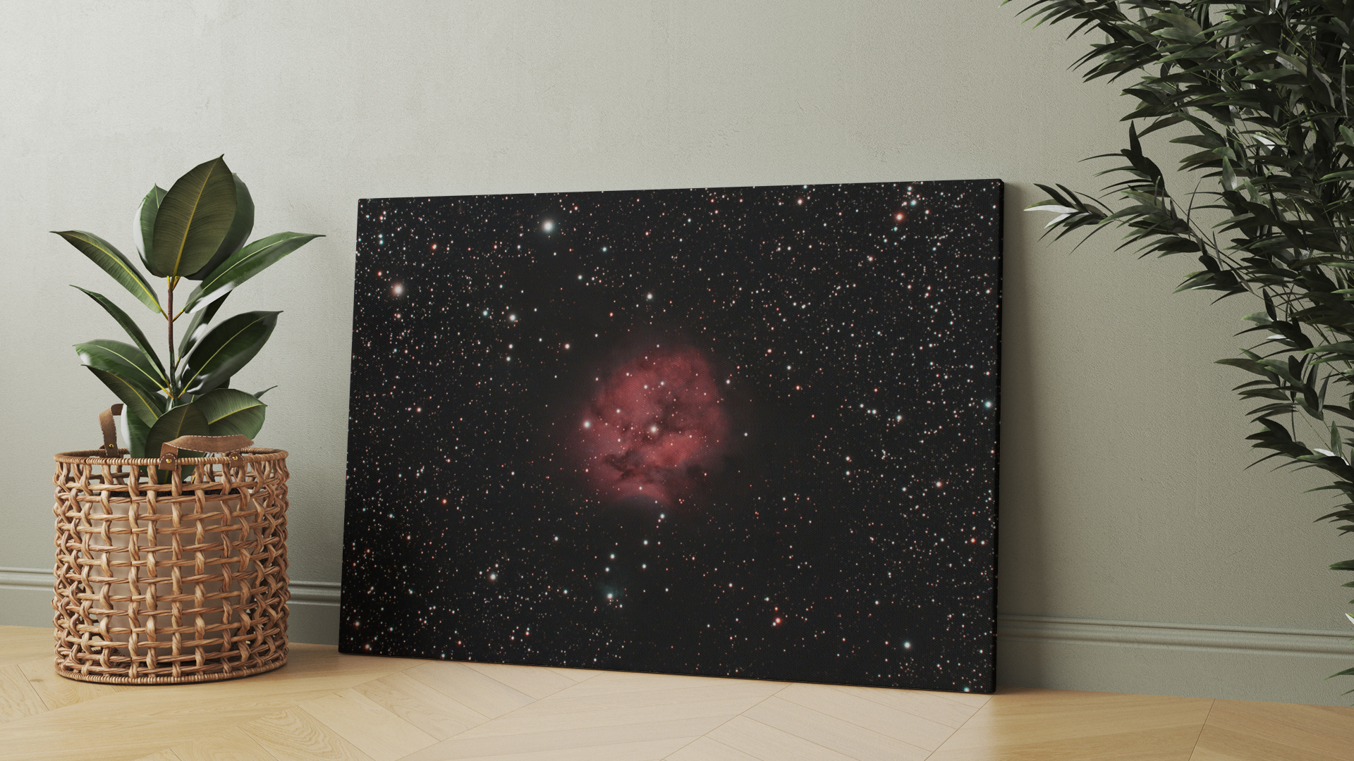 Cocoon Nebula