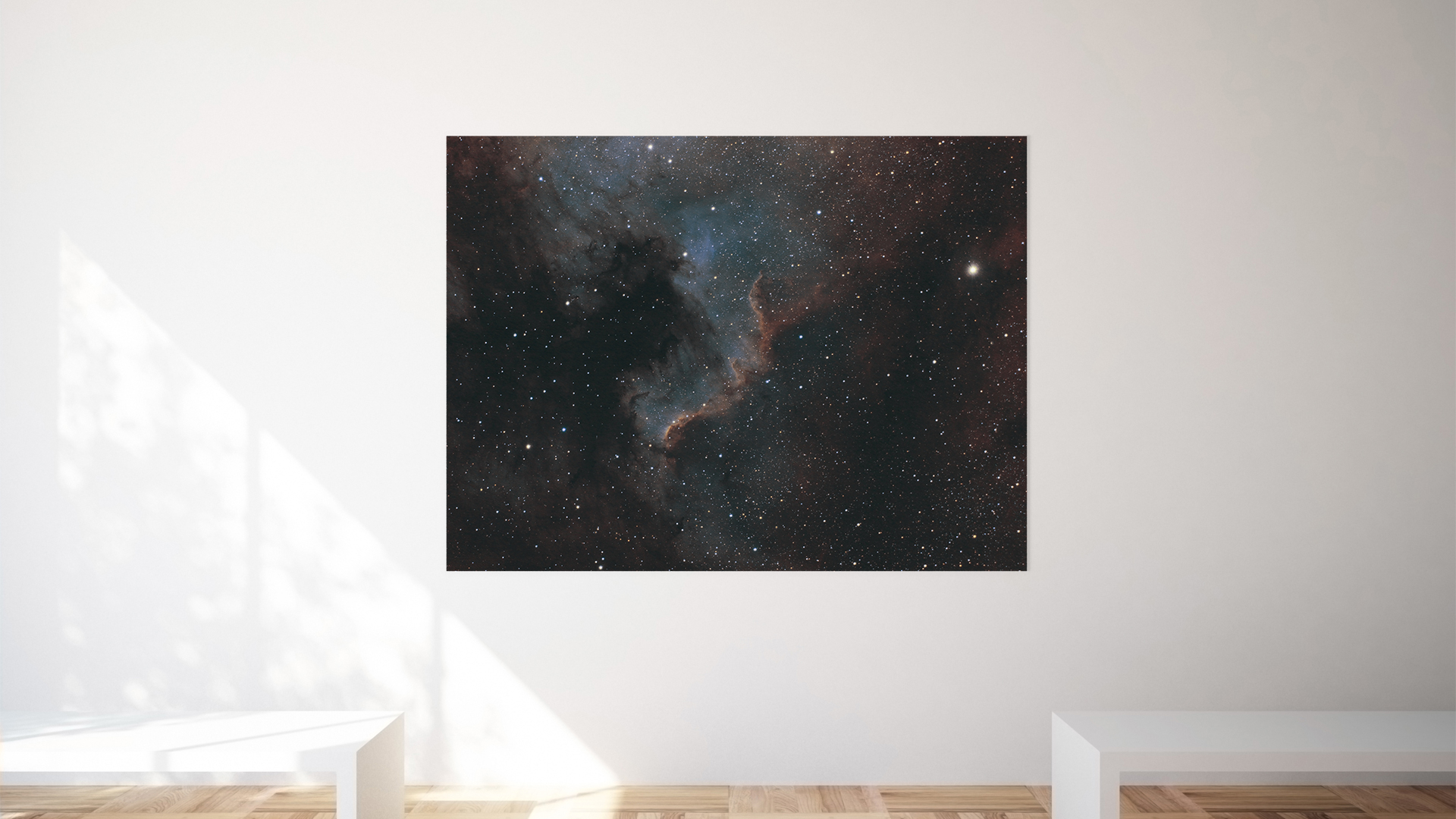 Cygnus Wall