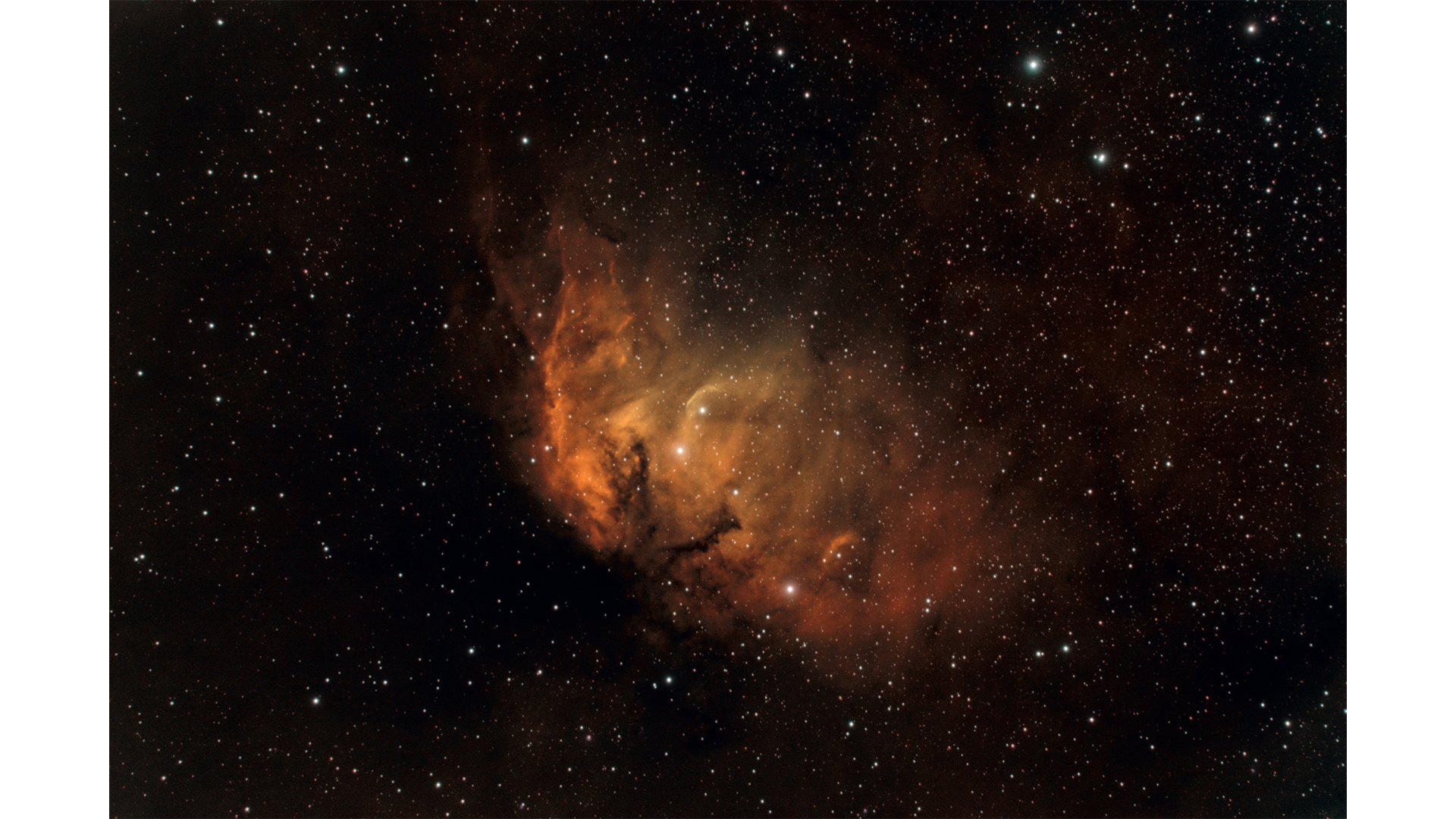 Tulip Nebula