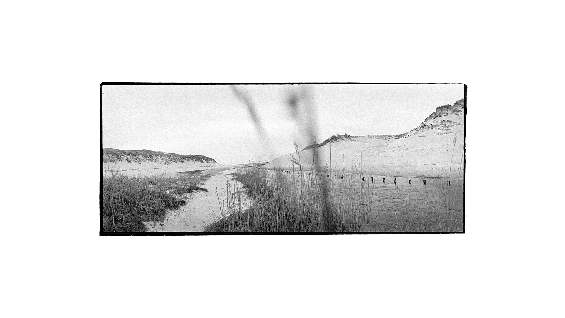 Dänemark Henne Molle A Panorama 01